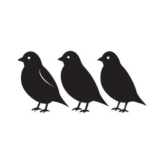 Finch Beak Evolution Study Silhouette