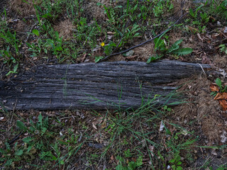 Part of a very old sleeper, partially destroyed, on a railway track