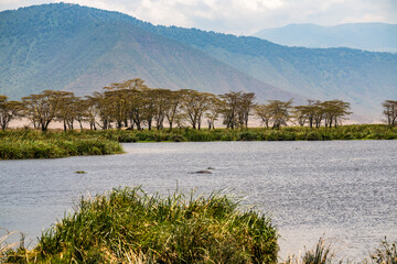 Im Ngorongoro Krater