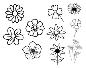 flower vector