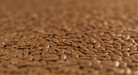 Brown Flax Seeds Macro Photography: A Detailed Look at Nature's Tiny Treasures