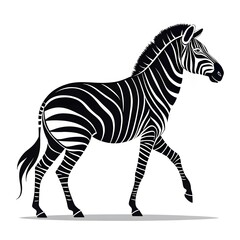 Obraz premium zebra isolated on white