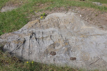 volcanic rock