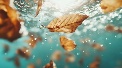 Beautiful dried autumn leaves delicately floating underwater, displaying nature's change, capturing the essence of transition and the beauty of fleeting moments outside.