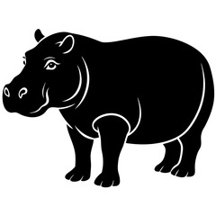 Hippopotamus standing isolated on white background