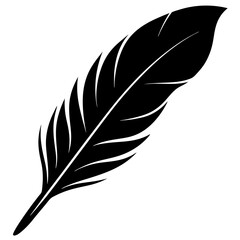 Obraz premium vector illustration of feather