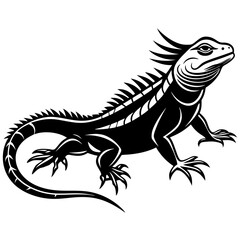 Iguana reptile illustration isolated on white background