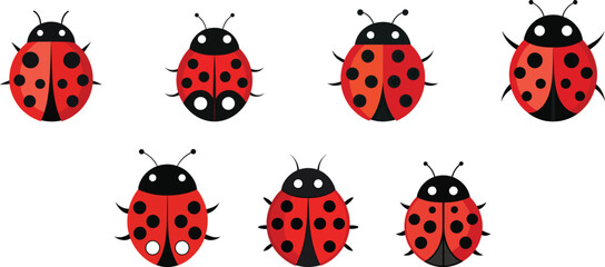 Ladybug cartoon set vector illustration