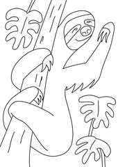 Sloth illustration
