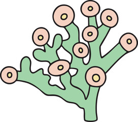 Coral colorful vector illustration Hand-drawn ocean and sea life creature. great for greeting cards, educational material, kids party invitations. Pastel colors, flat, cartoon design