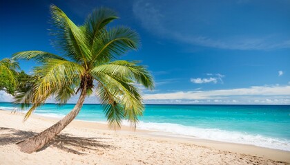 Obraz premium palm tree on a sandy beach against the background of the sea