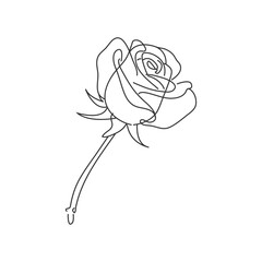 Rose flower line vector illustration, isolated on white background, top view rose flower line hand drawing, sketching flower for coloring book..
