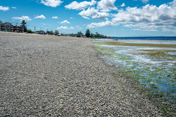 Alki Super Low Tide 10