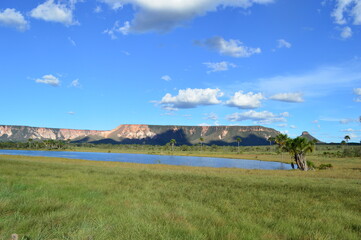 cerrado