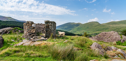 walking around Llyn y Gader in Snowdonia North Wales