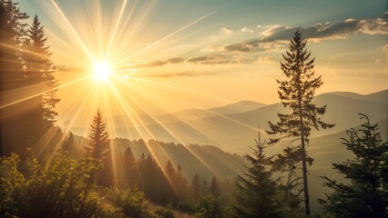 Majestic sunrise over mountain range with pine trees