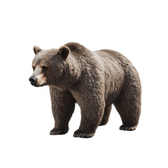 Fototapeta premium Full body shot of a brown bear standing isolated on transparent background