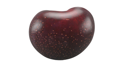 A shiny, dark red bean with a smooth surface and speckled texture.