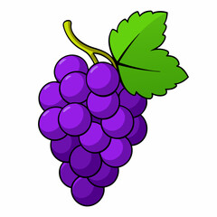 Fresh Purple Grapes Illustration with Leaf