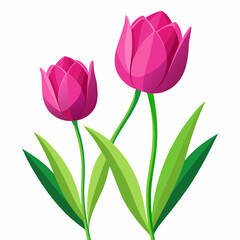 Fototapeta premium Pink Tulip Flowers Illustration on Green Leaves