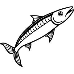Barracuda line art vector