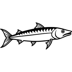 Barracuda line art vector