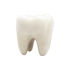 Single white human tooth with clean enamel and realistic detail isolated on white background