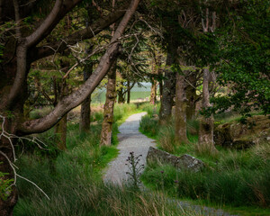 walking around Llyn y Gader in Snowdonia North Wales