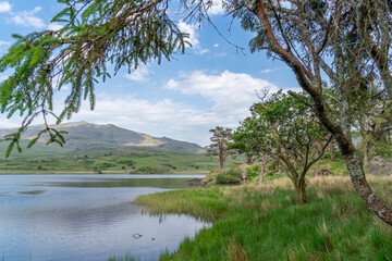 walking around Llyn y Gader in Snowdonia North Wales