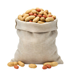 Canvas Sack Filled with Peanuts, Isolated on White or Transparent Background