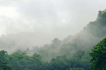 A beautiful landscape of misty sunlight on high mountain peaks covering a beautiful forest.  in rural Chiang Rai Province Northern Thailand