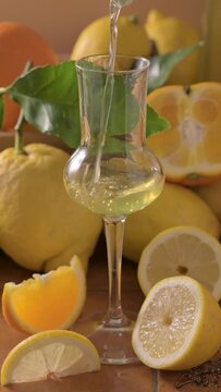 An elegant glass of Italian limoncello surrounded by fresh lemons, orange slices, and citrus leaves. Bright and refreshing still life with natural light and warm tones. High quality FullHD footage