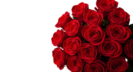 Close-up Elegant Red Rose Flower Bouquet on a Dark Background