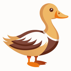 vector illustration of a duck