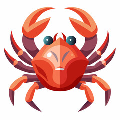 crab on white background