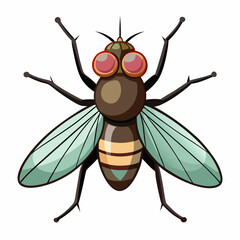 fly on white background