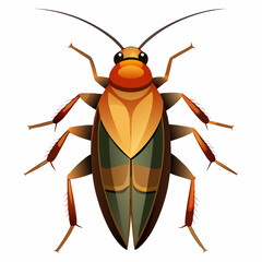 cockroach on white background