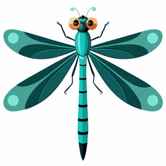 dragonfly on a white background