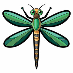 dragonfly on a white background