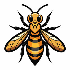 bee vector illustration