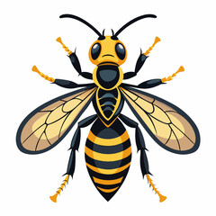 bee on white background