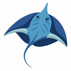 dolphin vector illustration