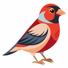 Obraz premium robin on a branch