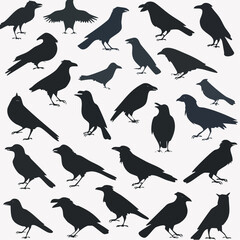 Fototapeta premium Collection of Crow Silhouettes in Black on White Background