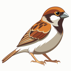 Obraz premium bird isolated on white background