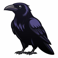crow on a white background