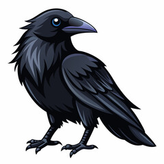 crow on a white background
