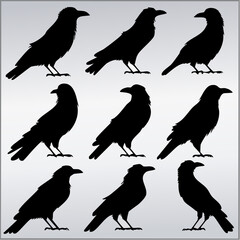 Fototapeta premium Nine Crow Silhouettes Black and White Minimalist Graphic Design