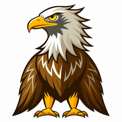 Obraz premium american bald eagle