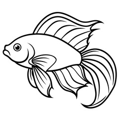 Betta line art vector
